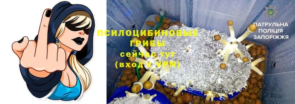 Альфа ПВП Богородск