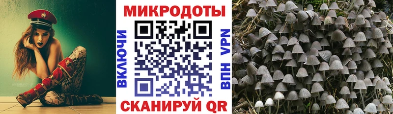 продажа наркотиков  Плёс  это клад  Галлюциногенные грибы MAGIC MUSHROOMS 